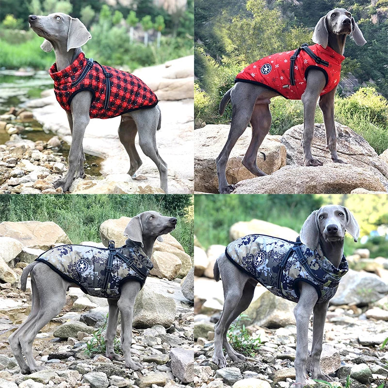 Winter-Ready Large Dog Jackets with Built-In Harness