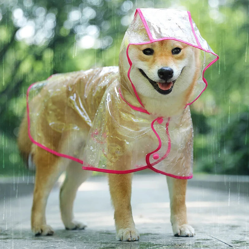 Transparent Puppy Rainwear - Keep Your Pet Dry in Style