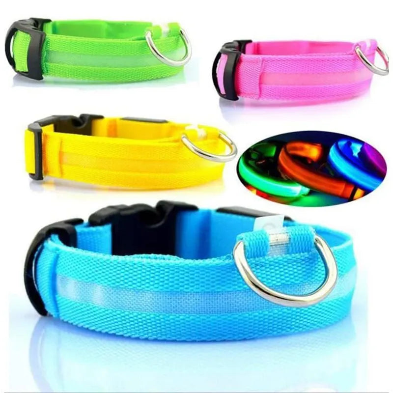 Glowing Safety Collars: Light Up Your Dog's Night!