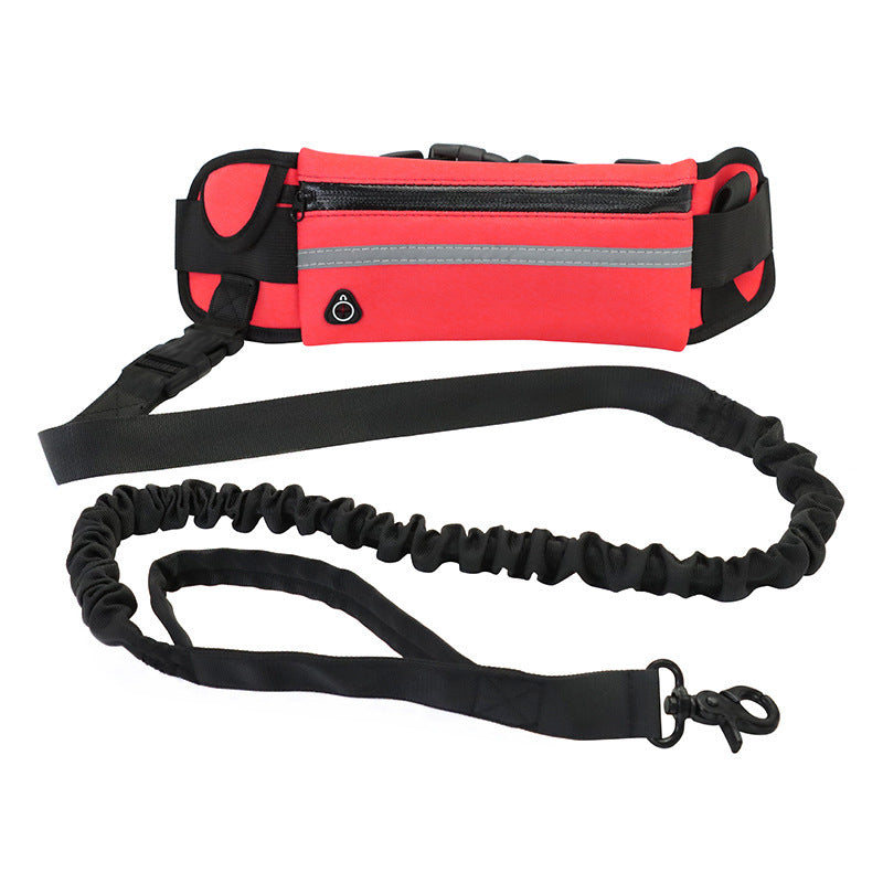 "Hands-Free Dog Leash: Comfort & Control for Large Breeds